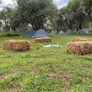 Campo de lujo Cika's Camping, Borsh