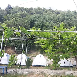 Campo de lujo Jungle In, Borsh